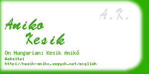 aniko kesik business card